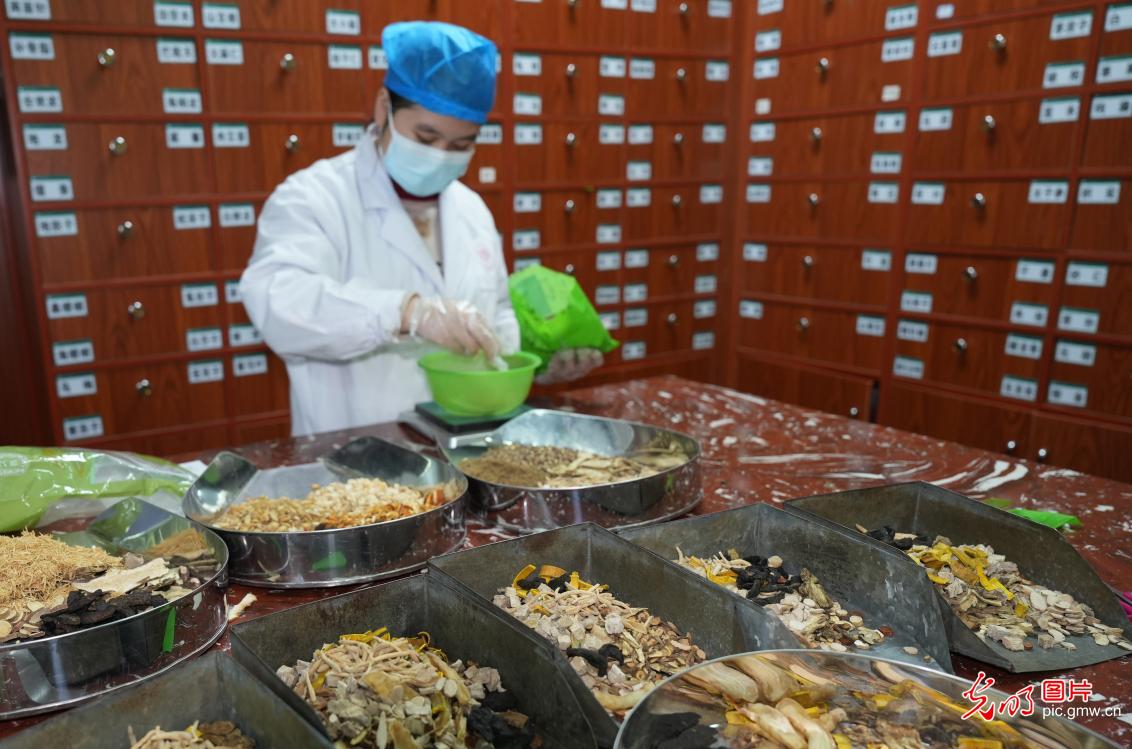 People buy Chinese herbs for winter replenishment in S China's Guangxi