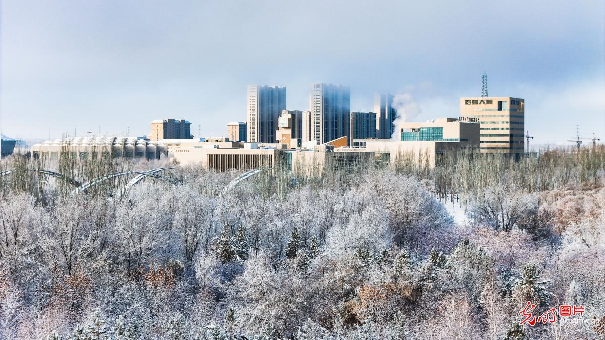 In pics: Changji, NW China's Xinjiang, after snowfall