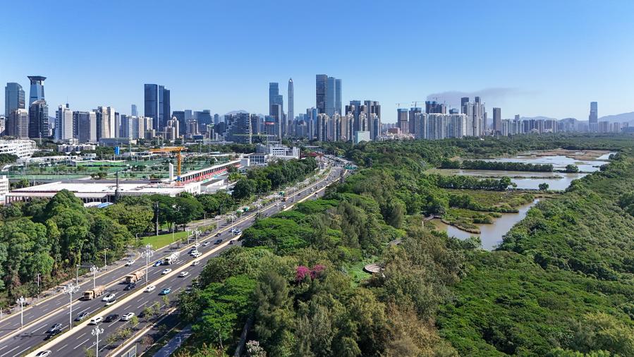 A view of the open and economically dynamic Guangdong-Hong Kong-Macao Greater Bay Area