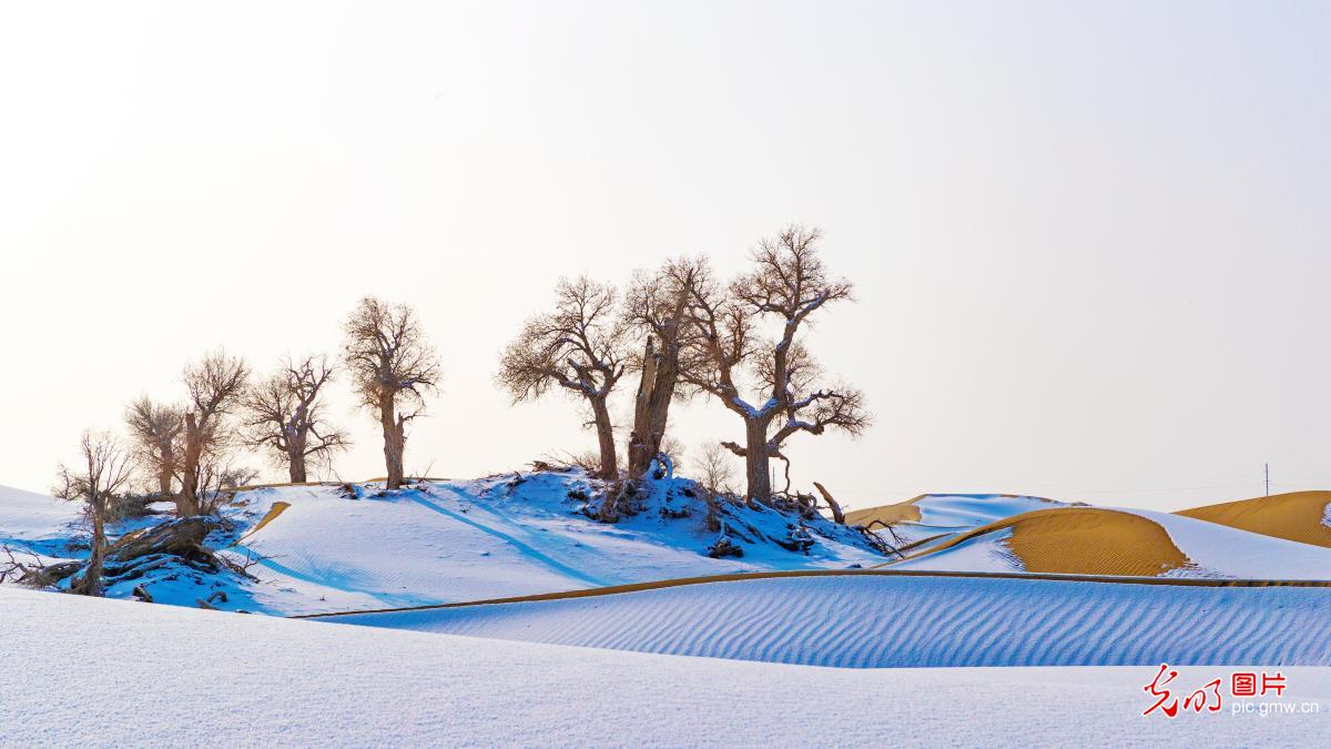 Desert snow scenery