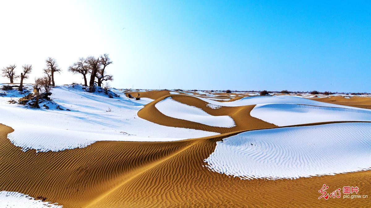 Desert snow scenery