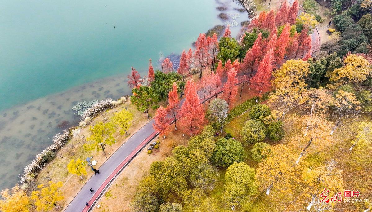 Wetland park dressed in color