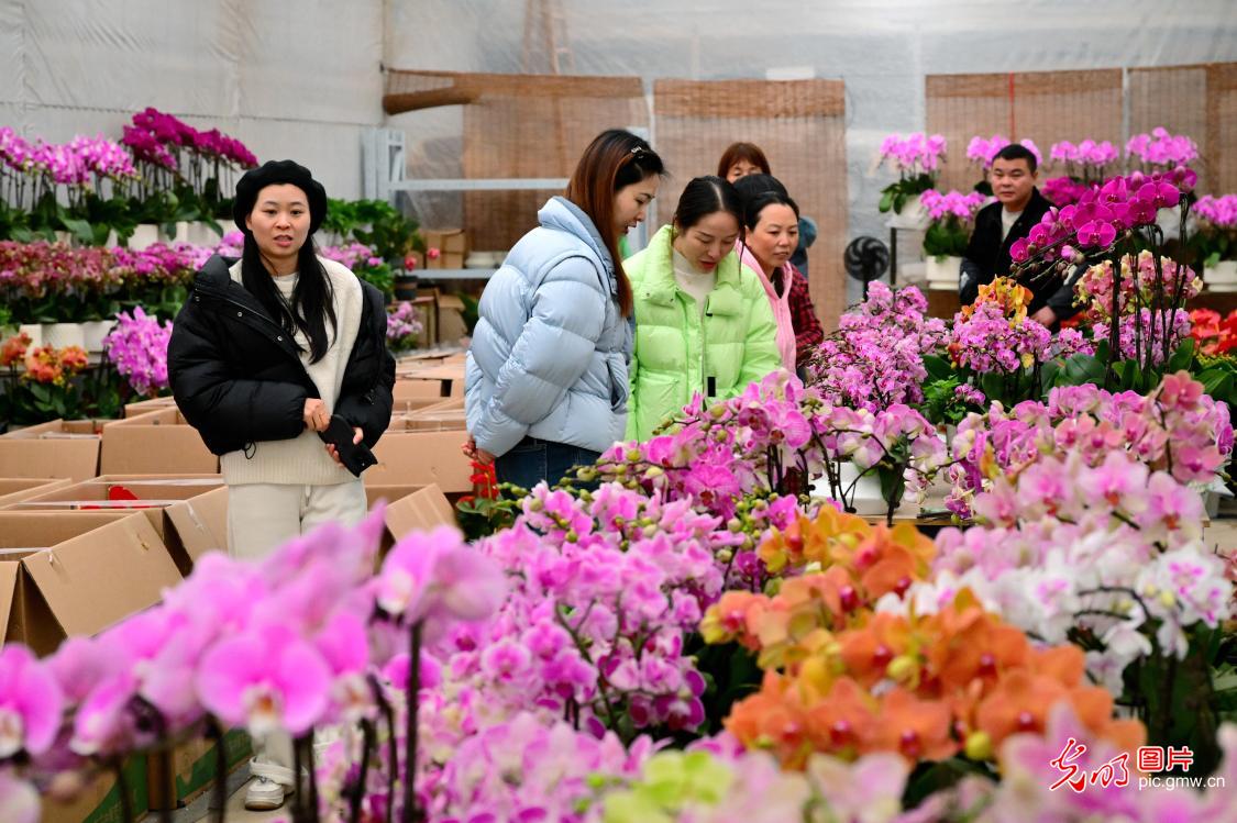 Flowers in demand as new year approaches