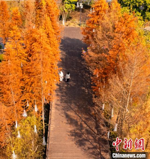 Aerial view of wetland park in S China’s Guangxi