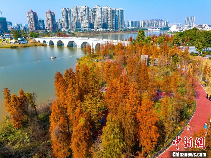 Picturesque winter view of park in China’s Guangxi