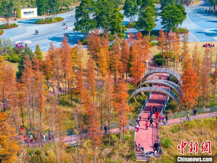 Picturesque winter view of park in China’s Guangxi