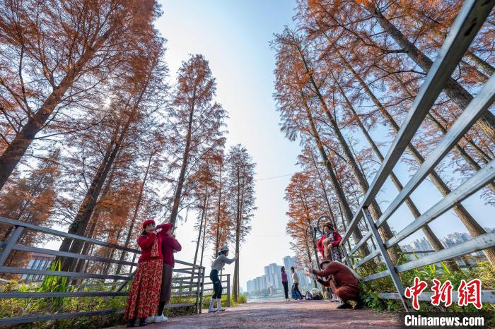 Picturesque winter view of park in China’s Guangxi