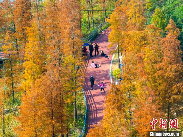 Picturesque winter view of park in China’s Guangxi