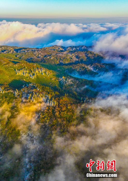 Picturesque scenery of sea of clouds in SW China’s Chongqing