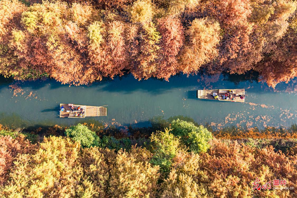 Picturesque winter scenery at Suzhou Huqiu Wetland Park