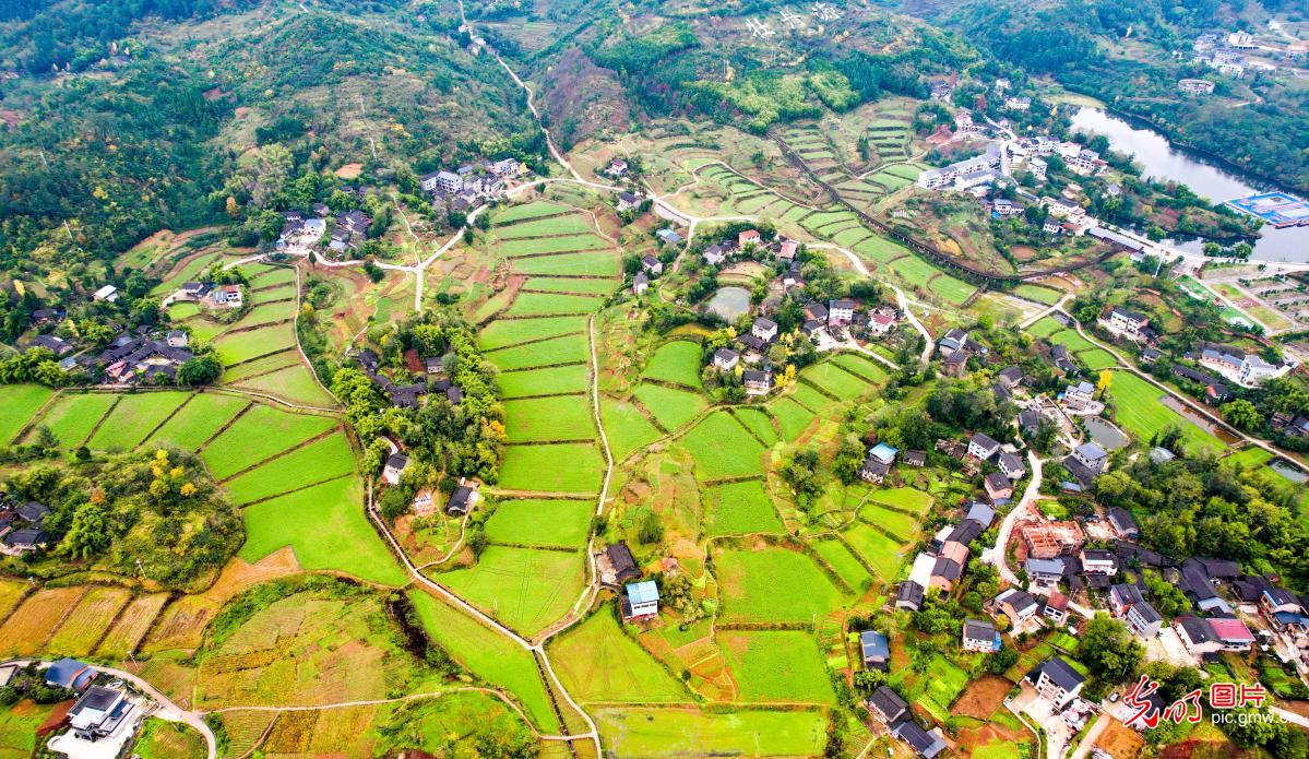 Beautiful terraces in SW China’s Chongqing