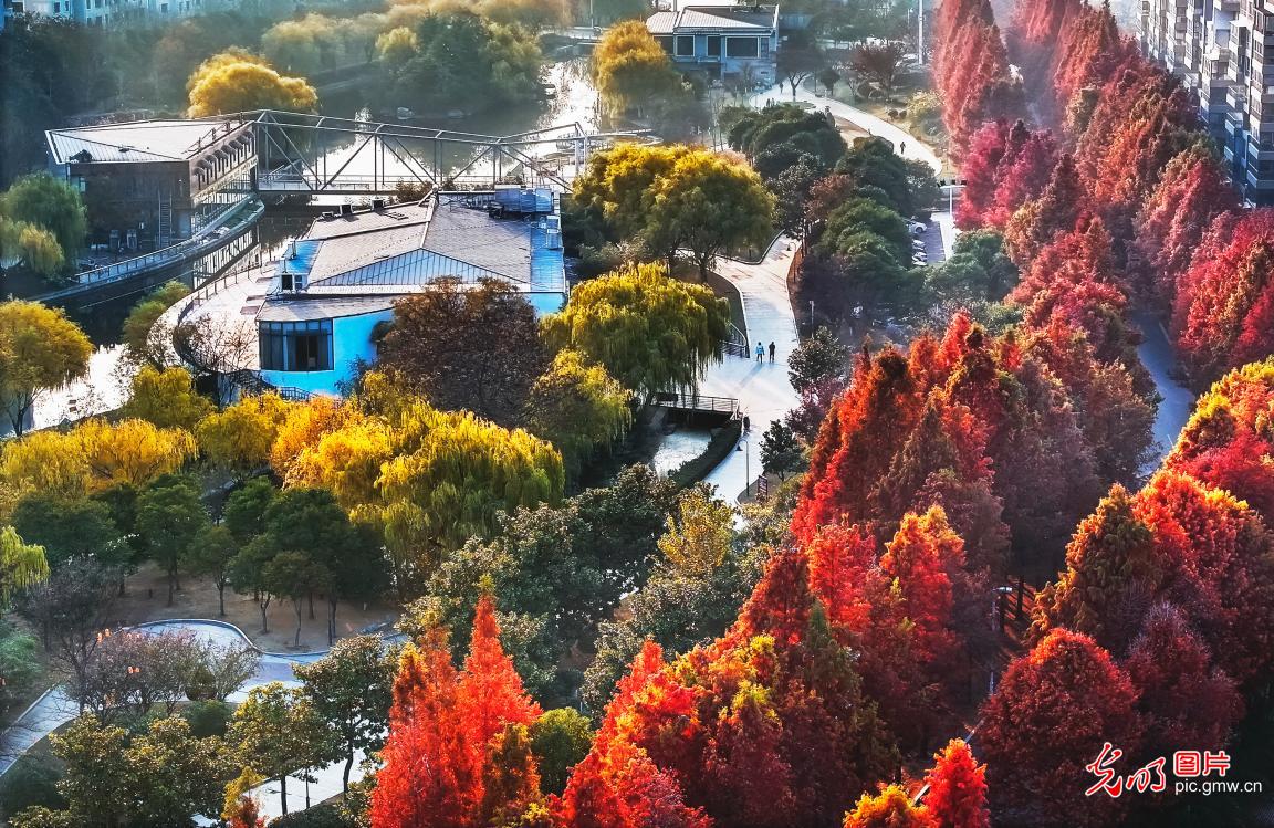 Zaozhuang City of E China’s Shandong: Picturesque winter scenery at Mianyang River Park