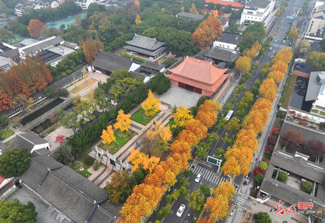 Colorful Suzhou in winter