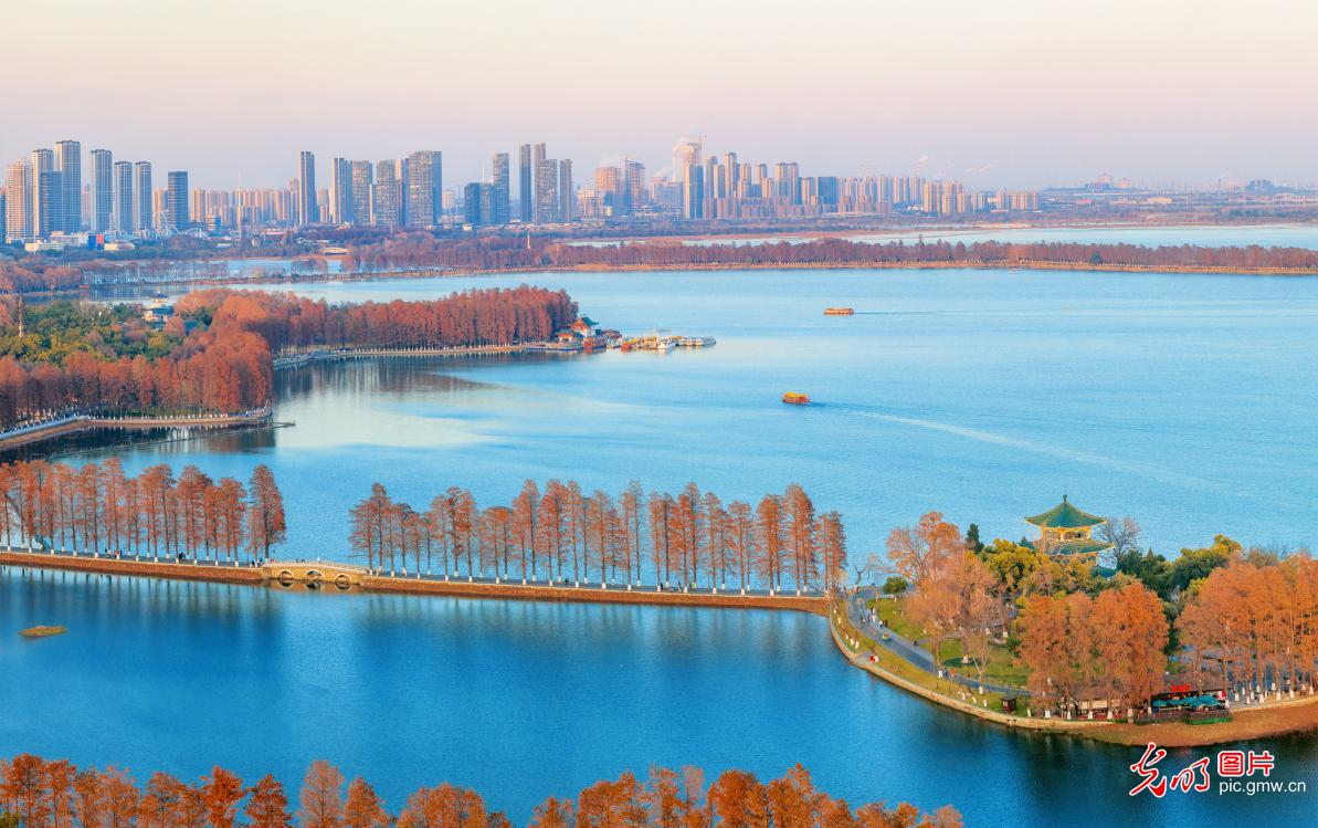 East Lake in C China dressed in vibrant winter colors