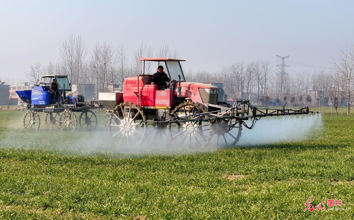 Busy farming activities during the Great Cold Season