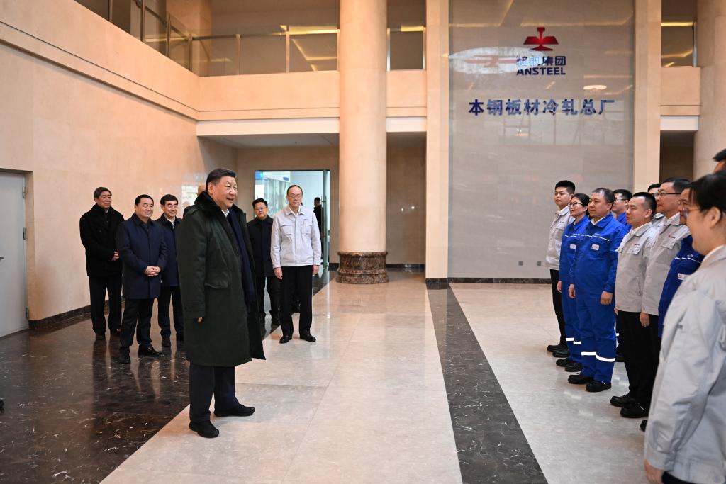 Xi stresses importance of steel industry, real economy