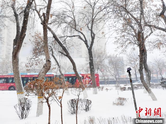 Urumqi sees snowfall in NW China’s Xinjiang