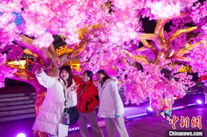 Lantern fair held to celebrate upcoming Spring Festival