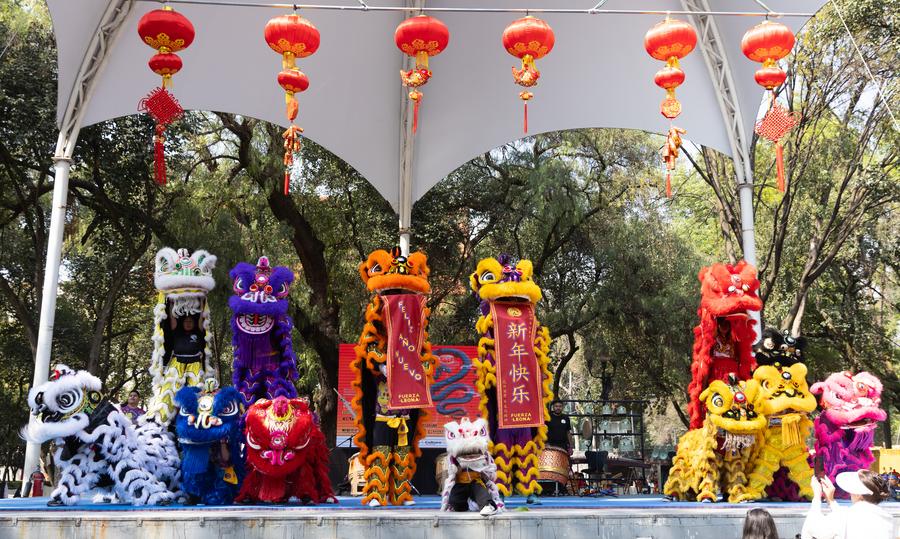 Spring Festival -- a Chinese tradition with growing global appeal