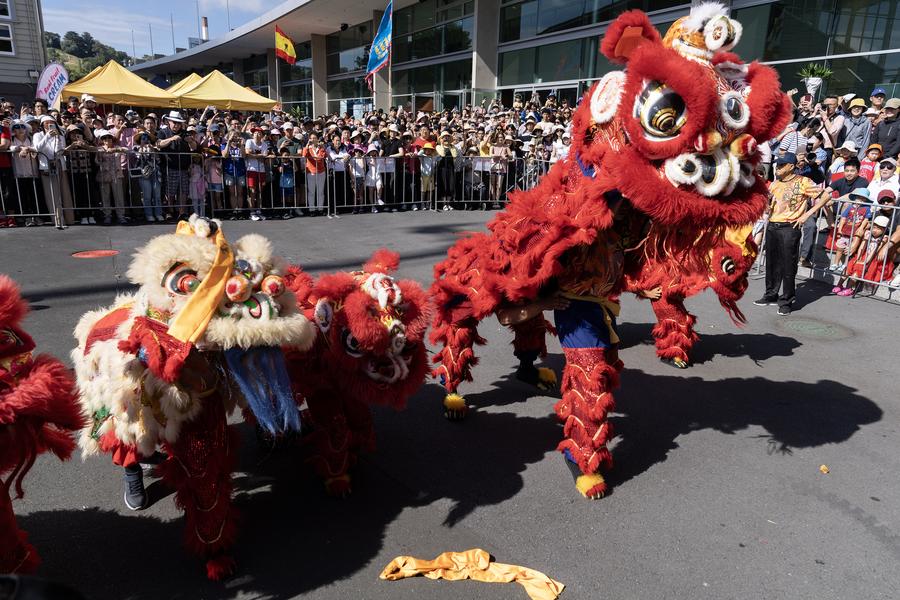 Spring Festival -- a Chinese tradition with growing global appeal