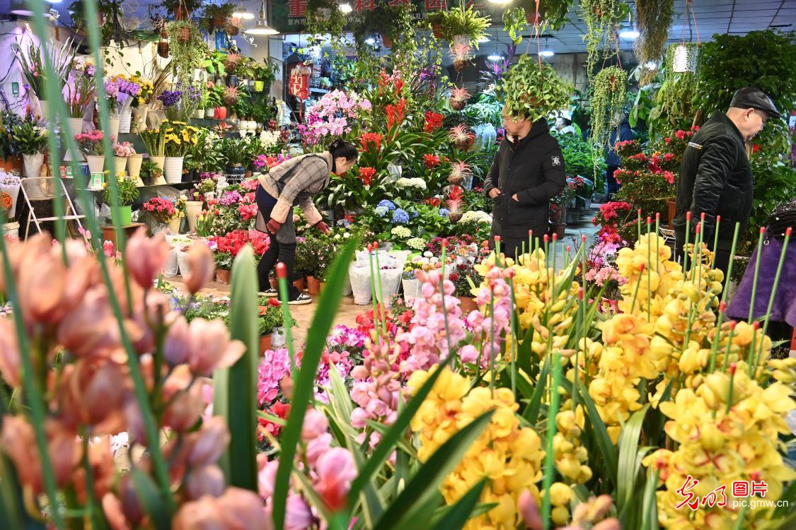 Selecting flowers to welcome Spring Festival in SW China's Chongqing