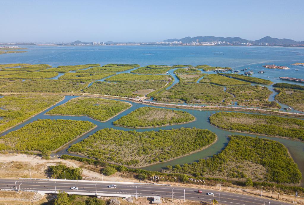 Scenic loop highways promote tourism in south China's Hainan