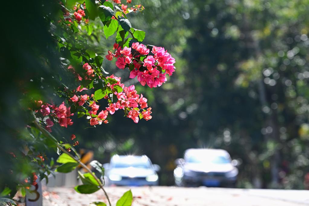 Scenic loop highways promote tourism in south China's Hainan