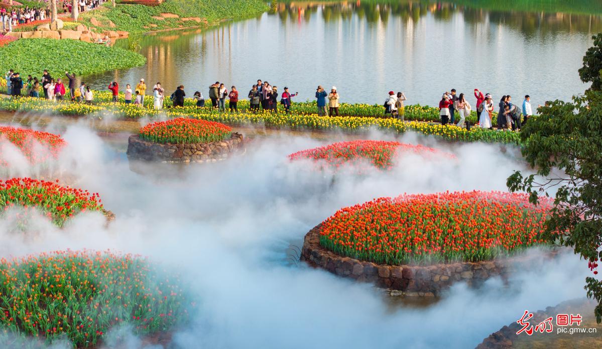 Sea of blossoms captivates visitors in S China