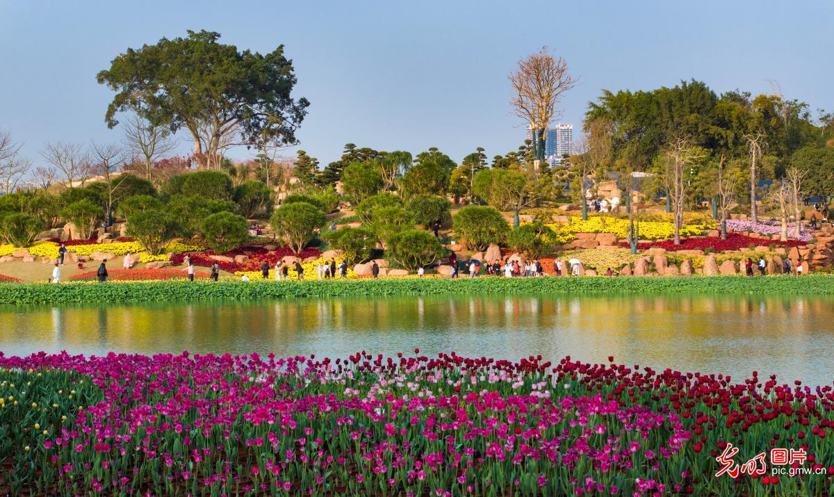 Sea of blossoms captivates visitors in S China