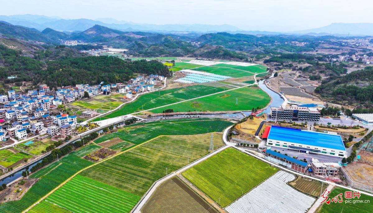 Beautiful field, picturesque village in C China’s Hunan