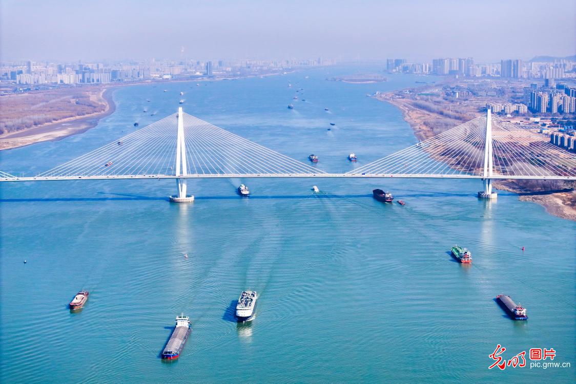 Yangtze River sees bustling transport during Spring Festival