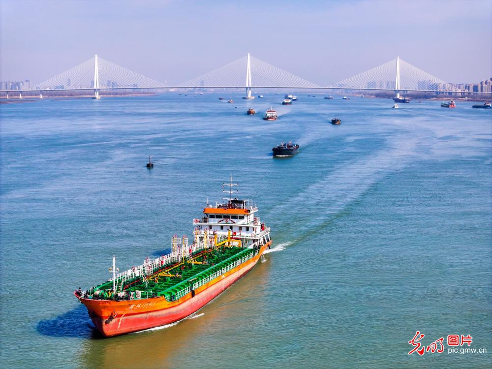 Yangtze River sees bustling transport during Spring Festival