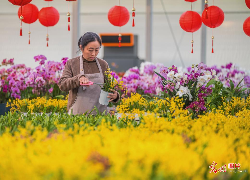 Hard work brings blooming greenhouses in early spring