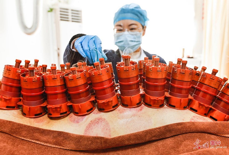 Traditional Chinese Medicine revitalized to safeguard health during winter's coldest months