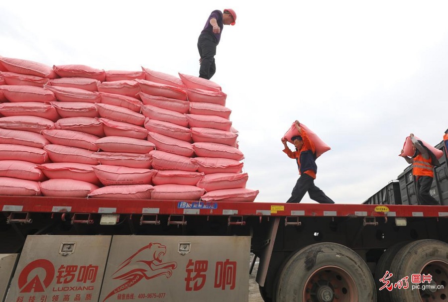 Spring preparations across China lay foundation for successful farming season