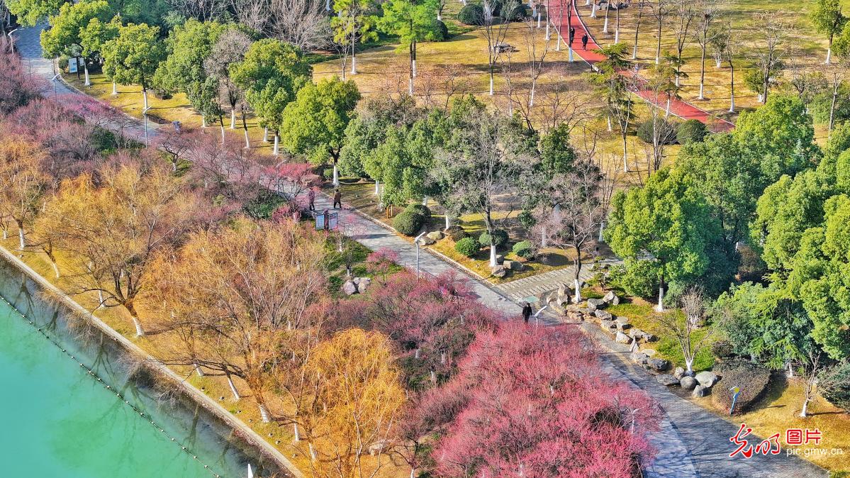 Early spring scenery in E China's Anhui