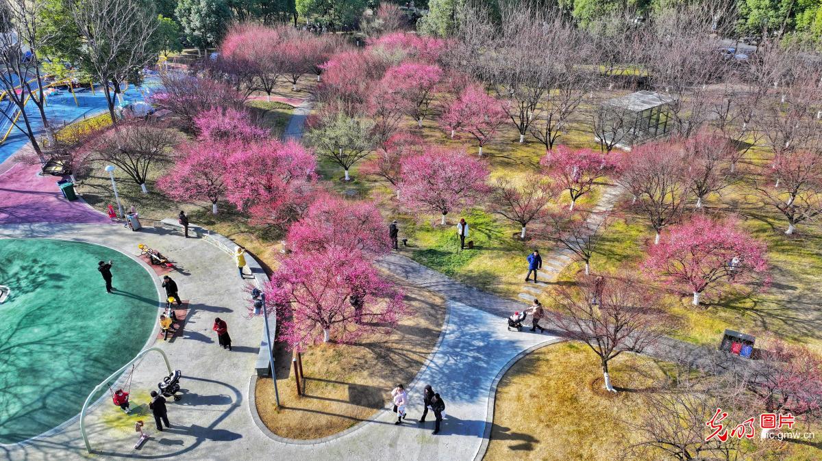 Early spring scenery in E China's Anhui