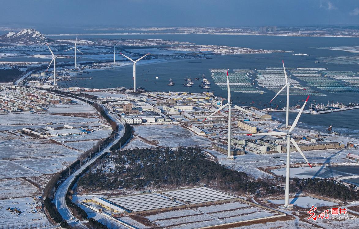 Wind farm in Rongcheng, E China's Shandong