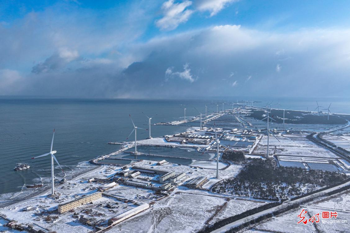 Wind farm in Rongcheng, E China's Shandong