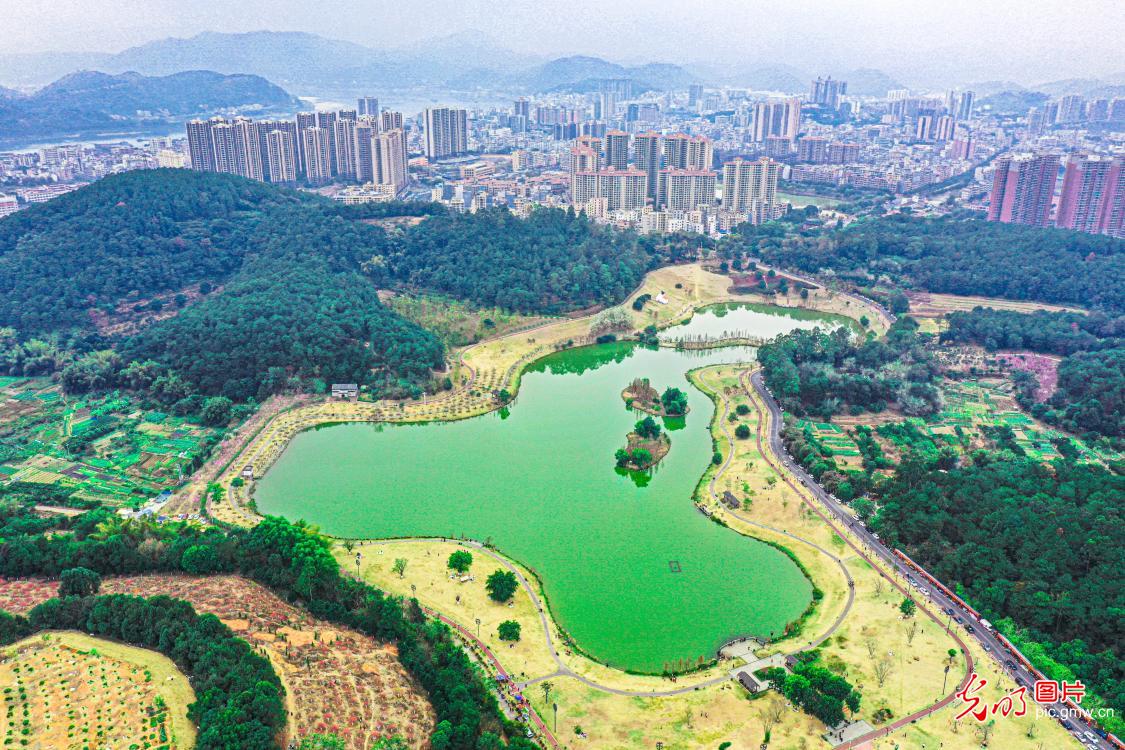 Scenery of Dawangshan National Forest Park, S China's Guangdong