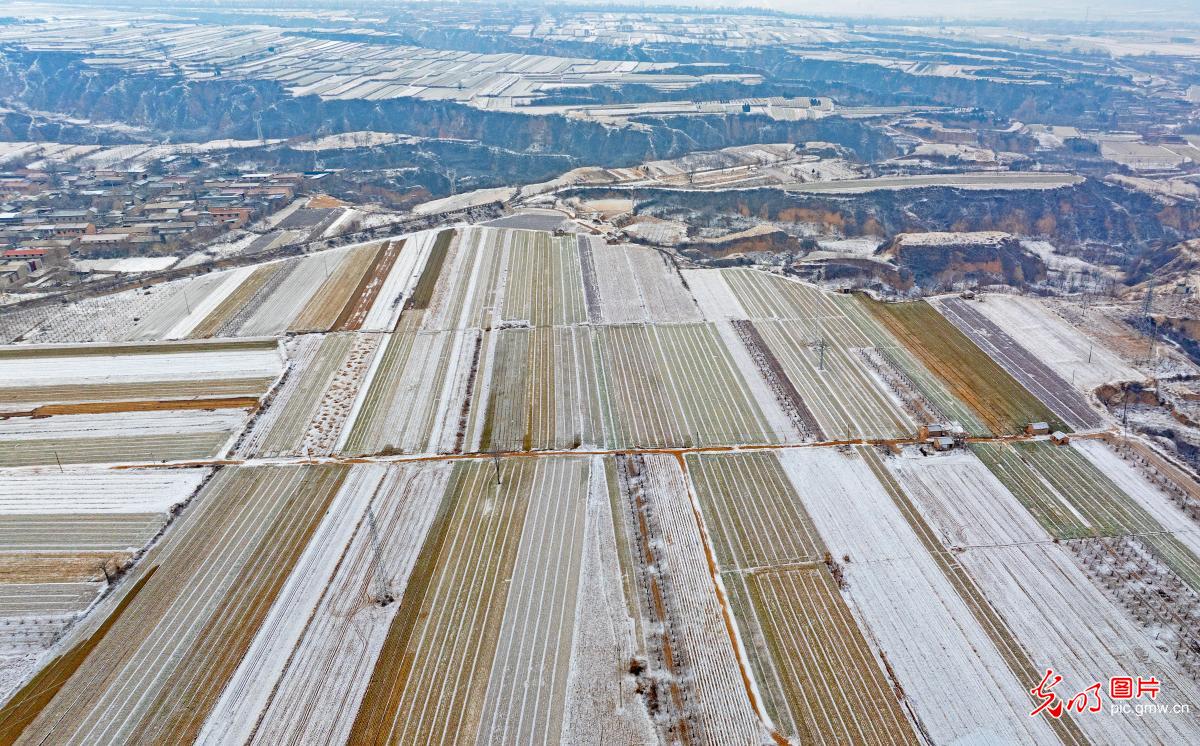 Snow-covered village in N China's Shanxi