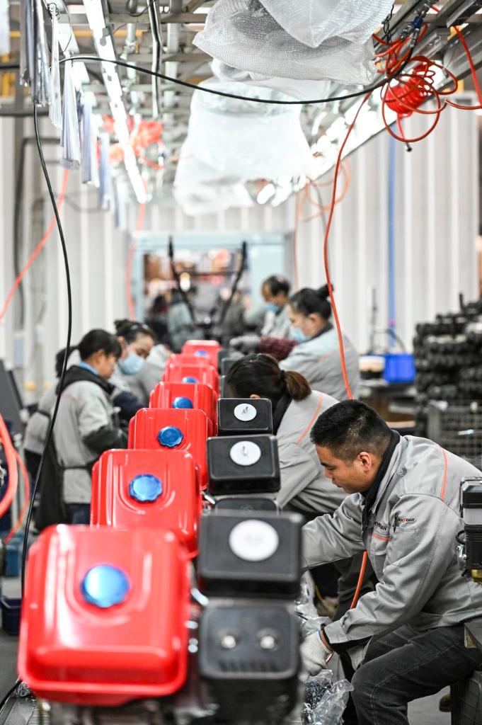 Economy&Life | Chongqing's private sector thrives with policy support