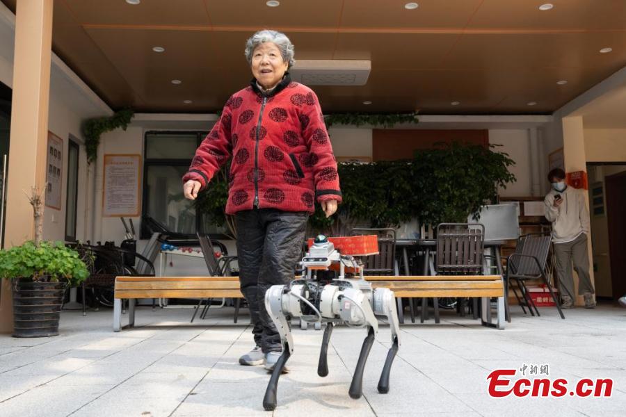 Robot dogs offer help at elderly care center in Hangzhou