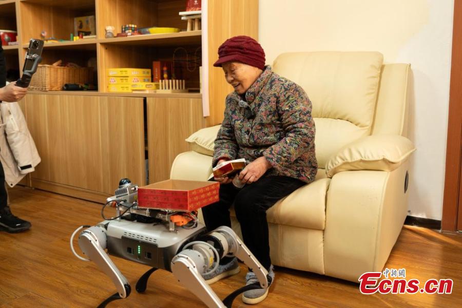 Robot dogs offer help at elderly care center in Hangzhou