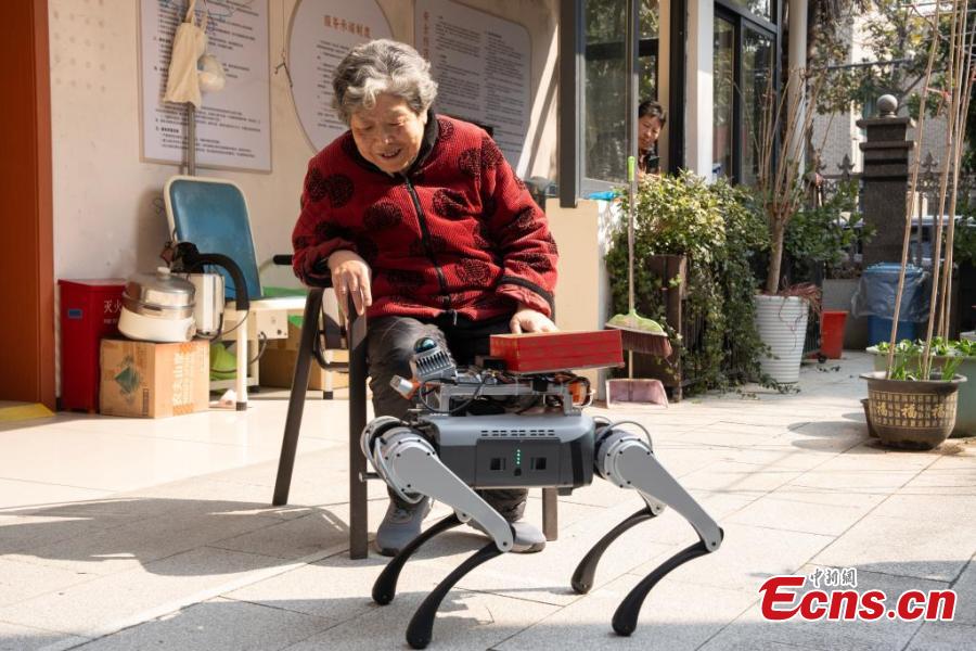 Robot dogs offer help at elderly care center in Hangzhou