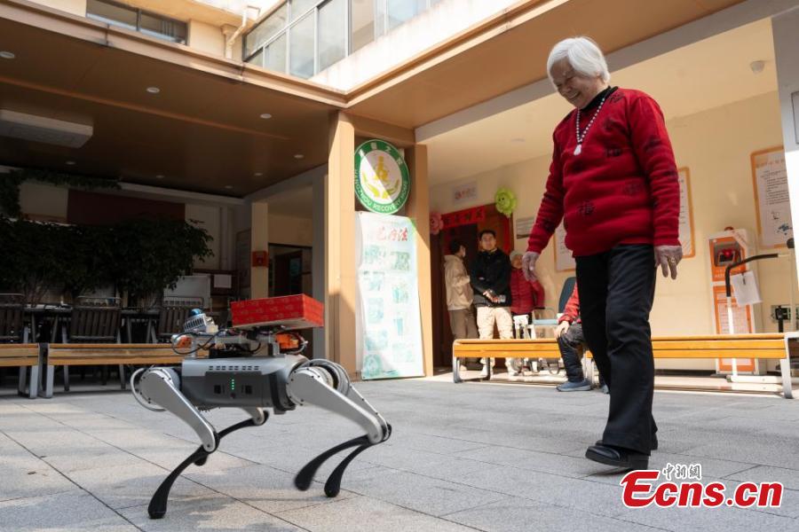 Robot dogs offer help at elderly care center in Hangzhou