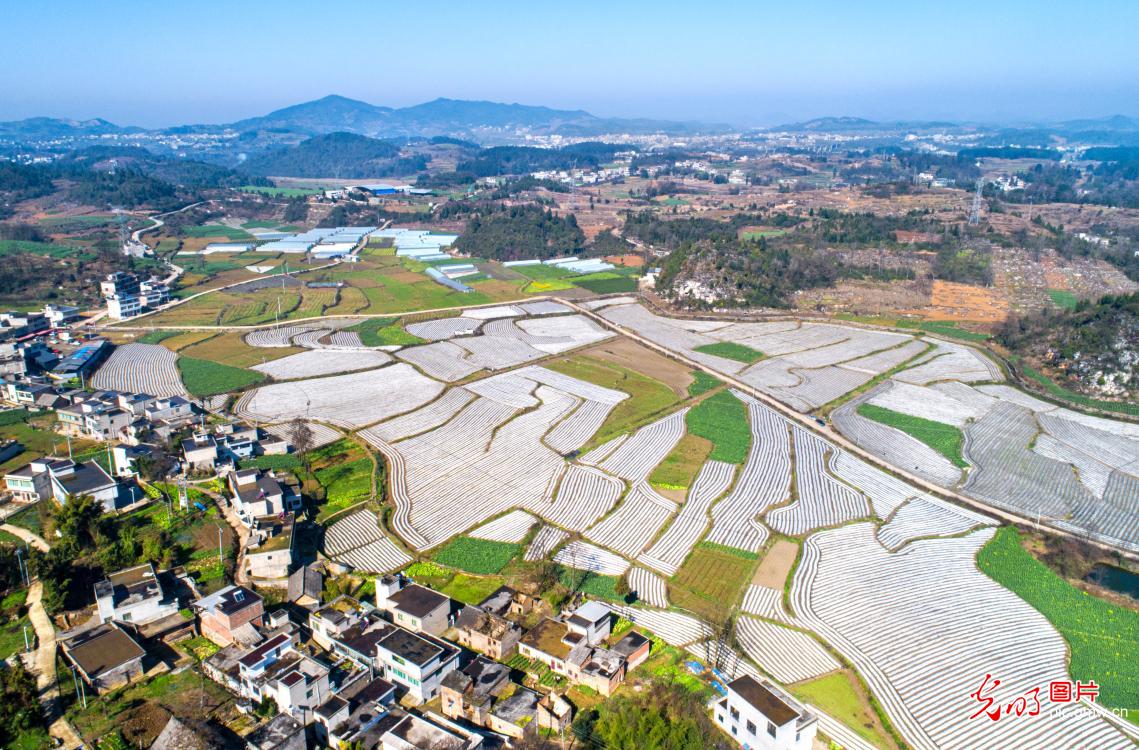 Spring countryside