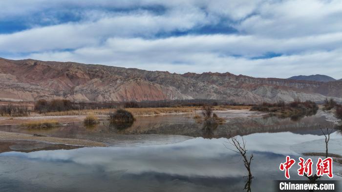 Migrant birds seen NW China’s Qinghai Province