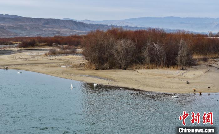 Migrant birds seen NW China’s Qinghai Province