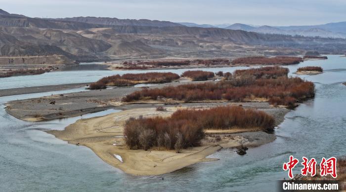 Migrant birds seen NW China’s Qinghai Province